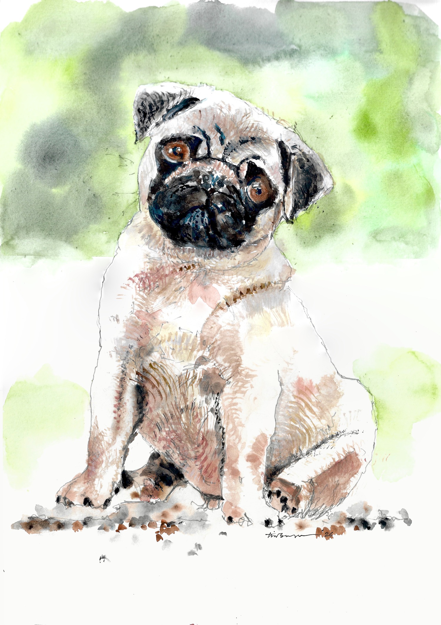 Percy Pug